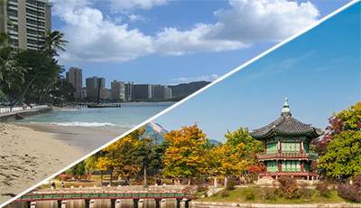 海外旅行保険